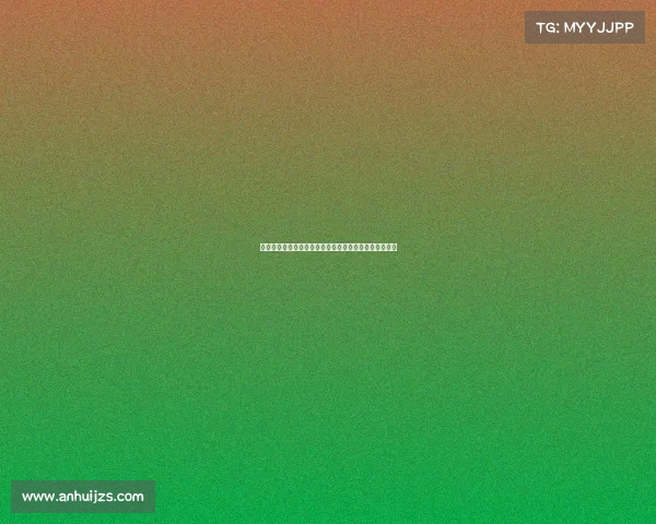 迪马济奥：罗马难以满足狼队对法比奥席尔瓦的高额要价