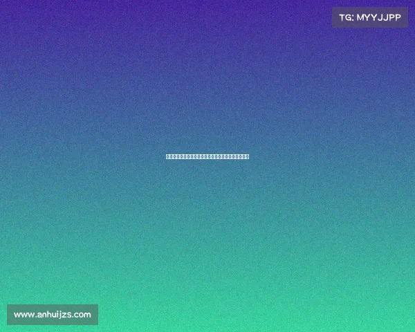 高效整理装备的技巧与方法，提升你的生活与工作效率